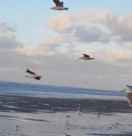 Bord De Plage, Thalasso Et Vue ! * Cabourg