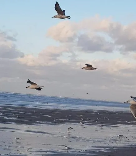 Bord De Plage, Thalasso Et Vue ! * Cabourg